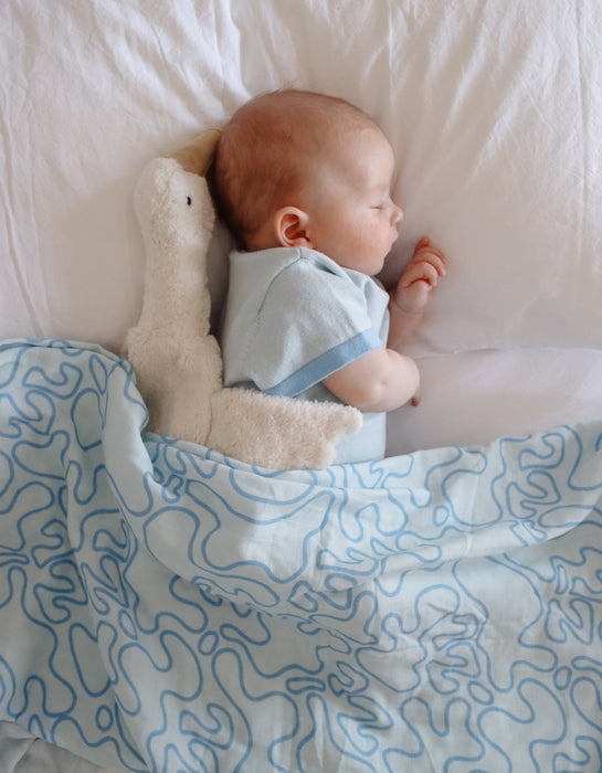 Swaddle | Zen